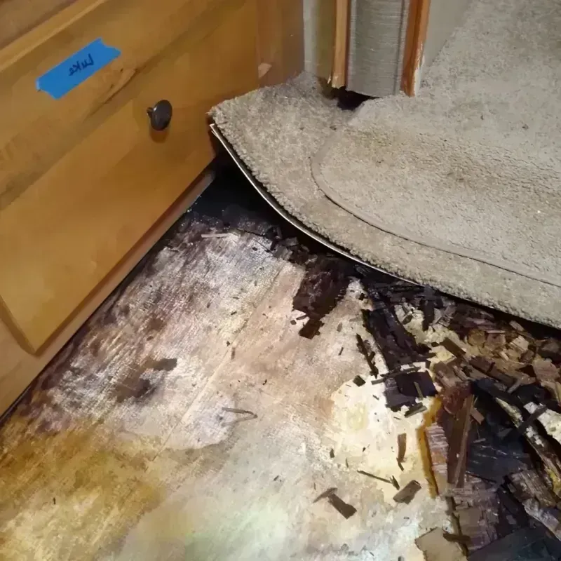 Wood Floor Water Damage in Wharton, NJ